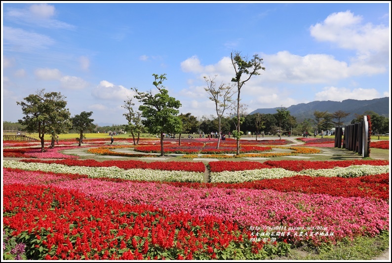 大農大富平地森林油菜花-2018-02-45.jpg