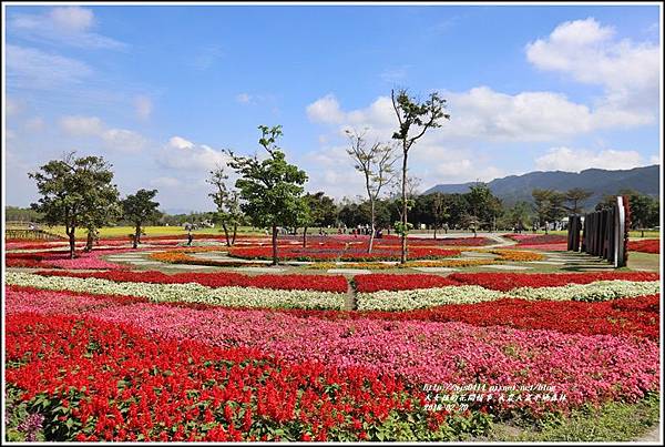 大農大富平地森林油菜花-2018-02-45.jpg