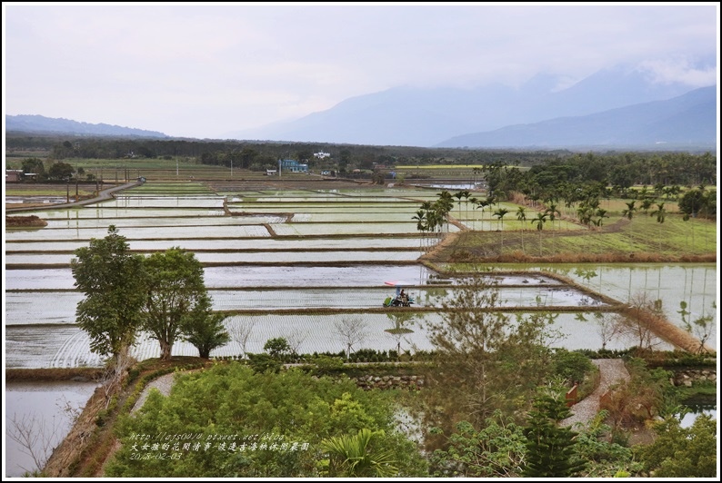 渡邊吉海秧休閒農園-2018-02-08.jpg