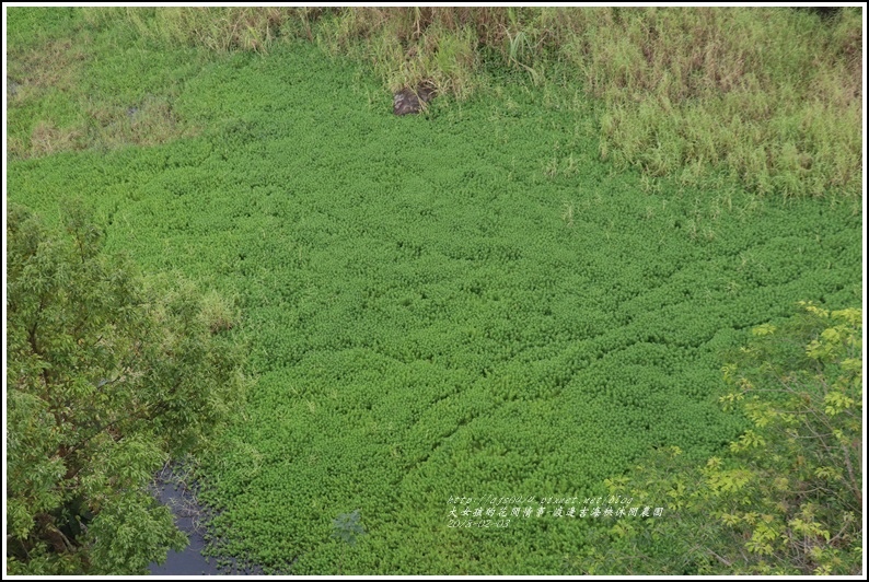 渡邊吉海秧休閒農園-2018-02-13.jpg