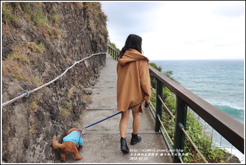 親不知子天空步道-2018-02-05.jpg