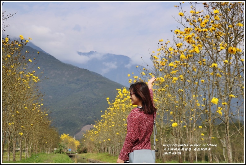 黃花風鈴木(富源國中旁水圳)-2018-03-06.jpg