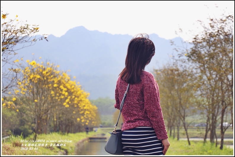 黃花風鈴木(富源國中旁水圳)-2018-03-34.jpg