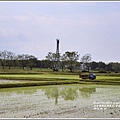 黃花風鈴木(富源國中旁水圳)-2018-03-52.jpg