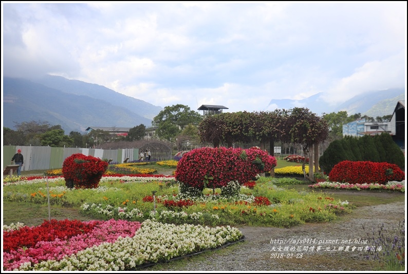 池上鄉農會四季花海-2018-02-02.jpg