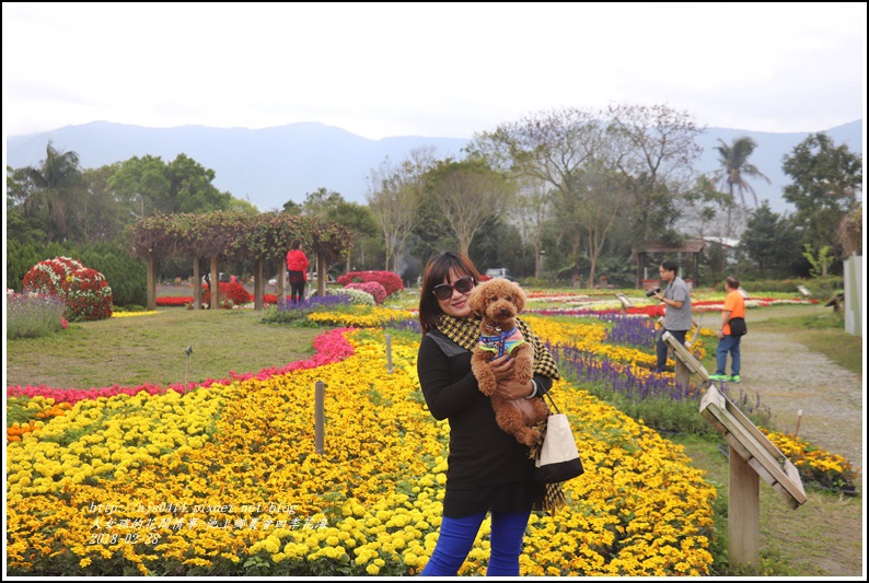 池上鄉農會四季花海-2018-02-09.jpg