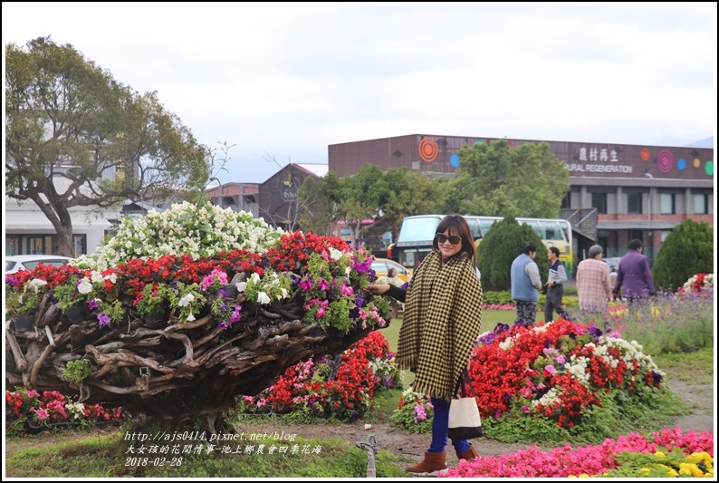 池上鄉農會四季花海-2018-02-11.jpg