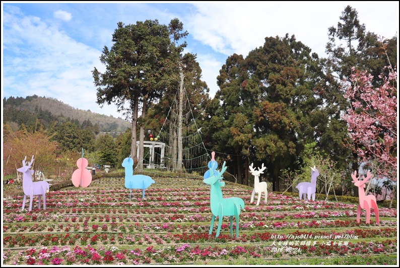 小瑞士花園-2018-02-13.jpg