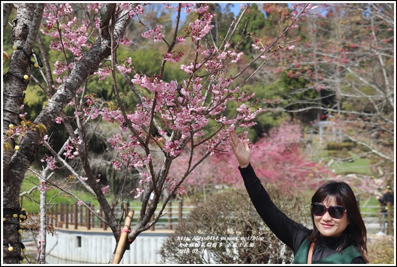 小瑞士花園-2018-02-17.jpg