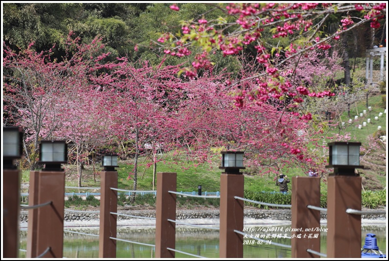 小瑞士花園-2018-02-18.jpg