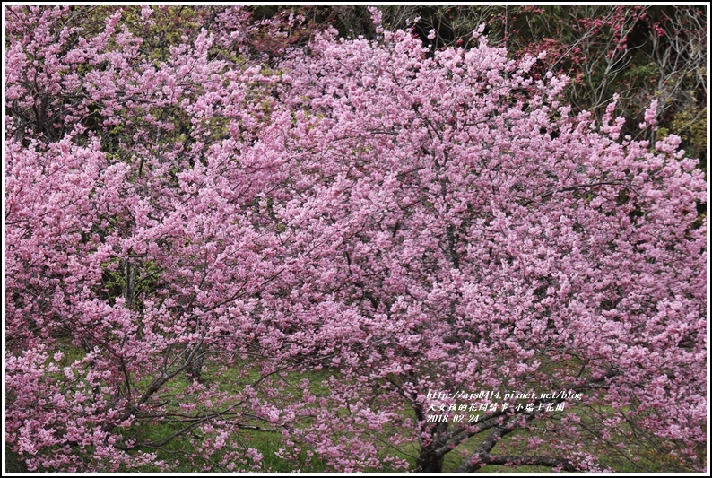 小瑞士花園-2018-02-42.jpg