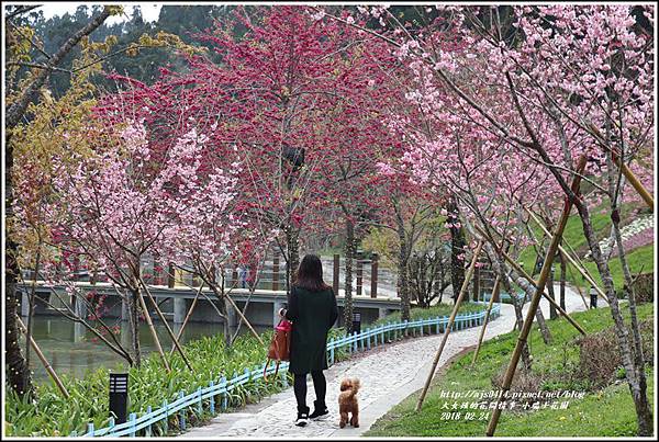 小瑞士花園-2018-02-55.jpg