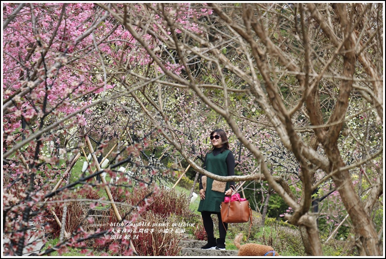 小瑞士花園-2018-02-61.jpg