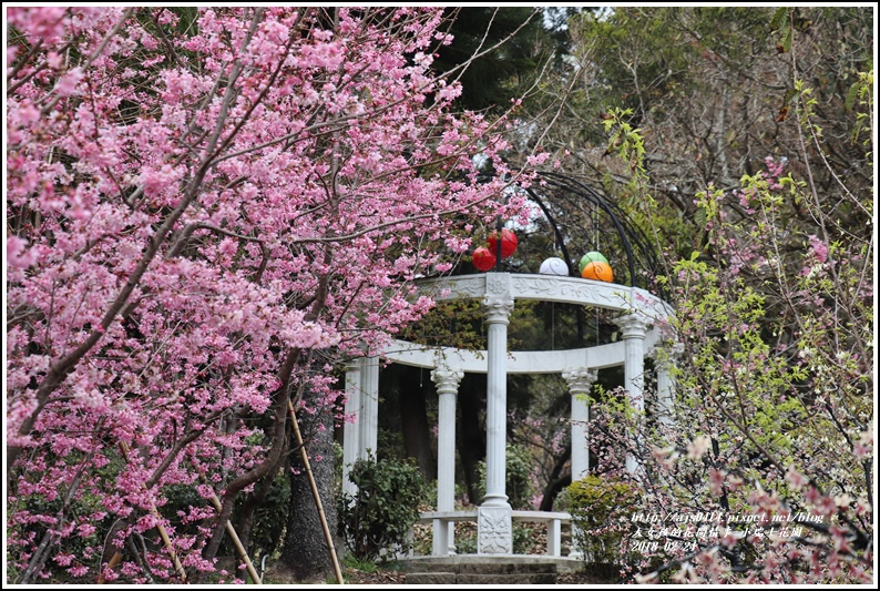 小瑞士花園-2018-02-64.jpg