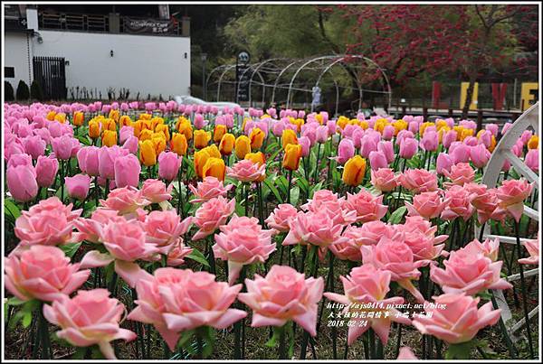 小瑞士花園-2018-02-83.jpg