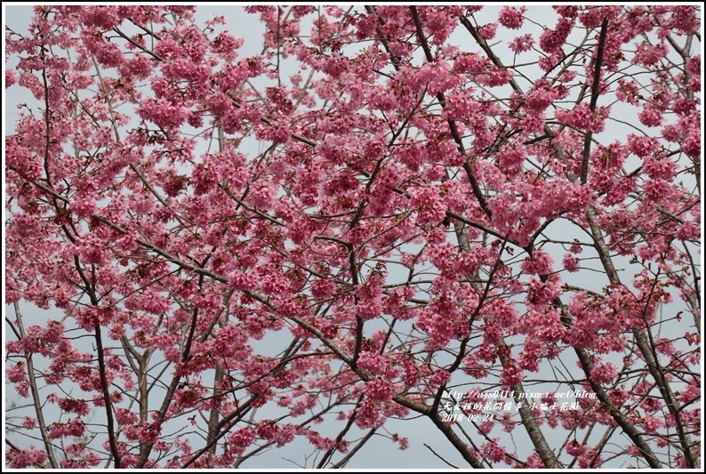 小瑞士花園-2018-02-90.jpg