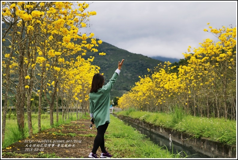 富源國中旁黃花風鈴木-2018-03-83.jpg