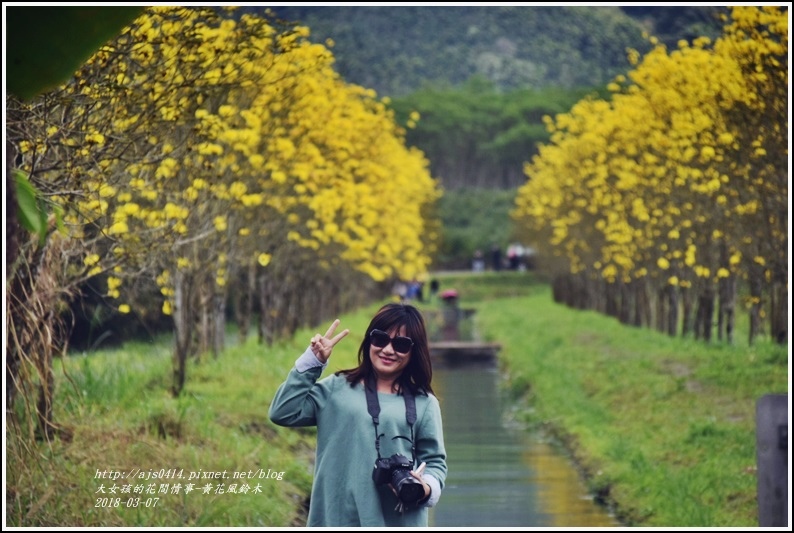 富源國中旁黃花風鈴木-2018-03-96.jpg