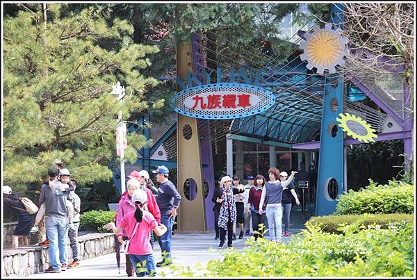 九族文化村櫻花季-2018-02-02.jpg