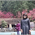 九族文化村櫻花季-2018-02-51.jpg