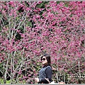 九族文化村櫻花季-2018-02-68.jpg