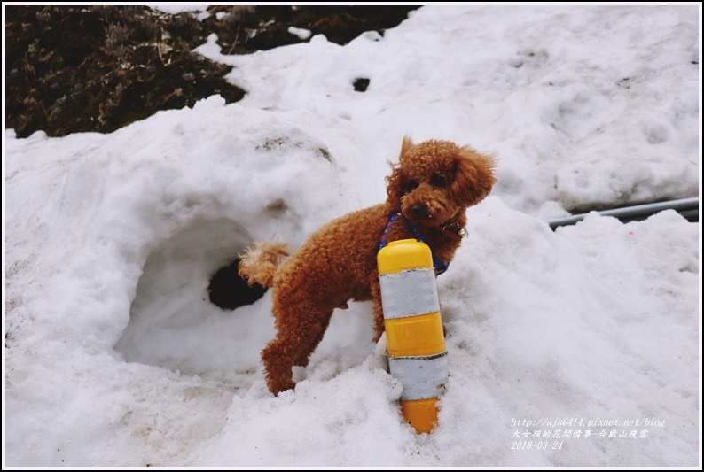 合歡山殘雪-2018-02-12.jpg