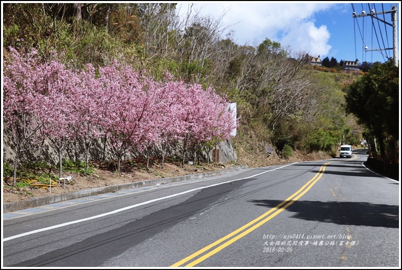 埔霧公路(清境路段)富士櫻-2018-02-17.jpg