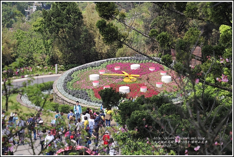 陽明山櫻花季-2018-03-21.jpg