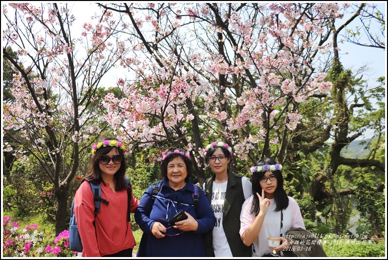 陽明山櫻花季-2018-03-64.jpg