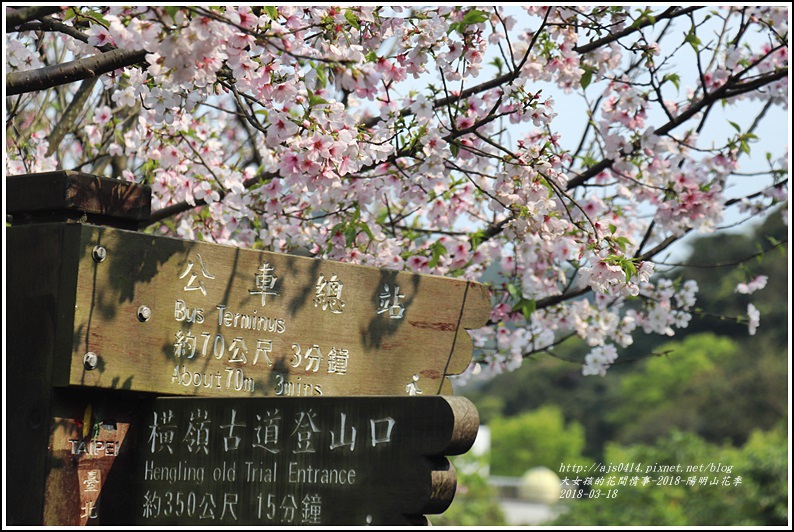 陽明山櫻花季-2018-03-83.jpg