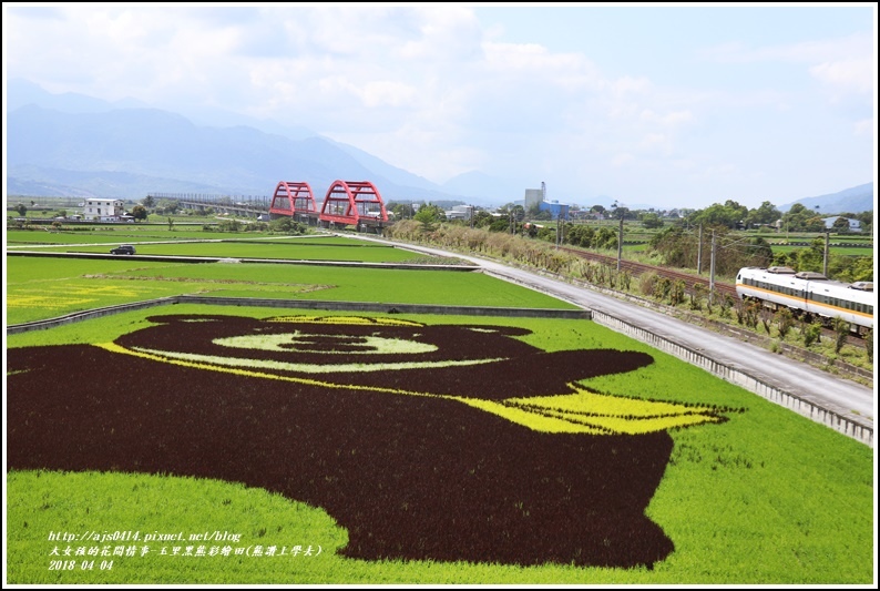 玉里黑熊彩繪田(熊讚上學去)-2018-04-02.jpg