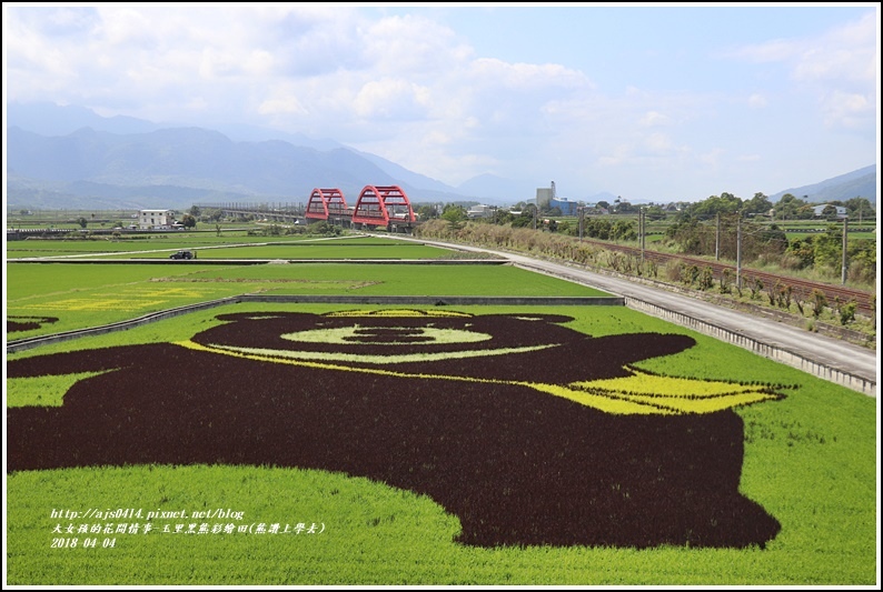 玉里黑熊彩繪田(熊讚上學去)-2018-04-07.jpg