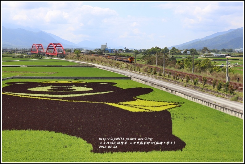 玉里黑熊彩繪田(熊讚上學去)-2018-04-08.jpg