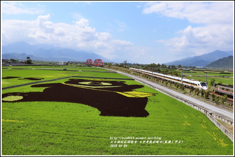 玉里黑熊彩繪田(熊讚上學去)-2018-04-10.jpg