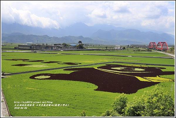 玉里黑熊彩繪田(熊讚上學去)-2018-04-12.jpg