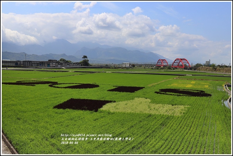 玉里黑熊彩繪田(熊讚上學去)-2018-04-13.jpg