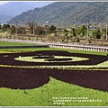 玉里黑熊彩繪田(熊讚上學去)-2018-04-14.jpg