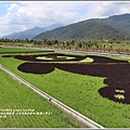 玉里黑熊彩繪田(熊讚上學去)-2018-04-15.jpg