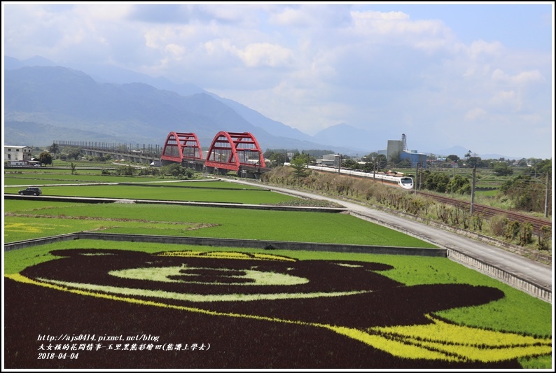 玉里黑熊彩繪田(熊讚上學去)-2018-04-17.jpg