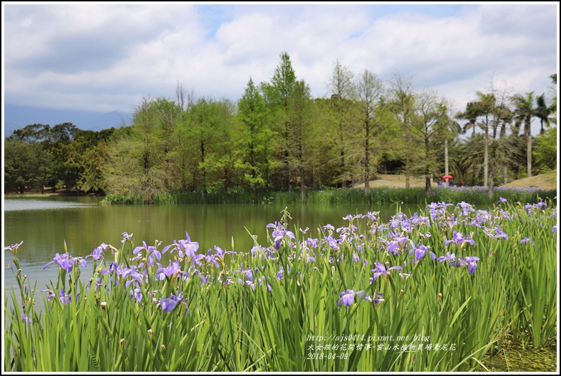 雲山水植物農場鳶尾花-2018-04-02.jpg