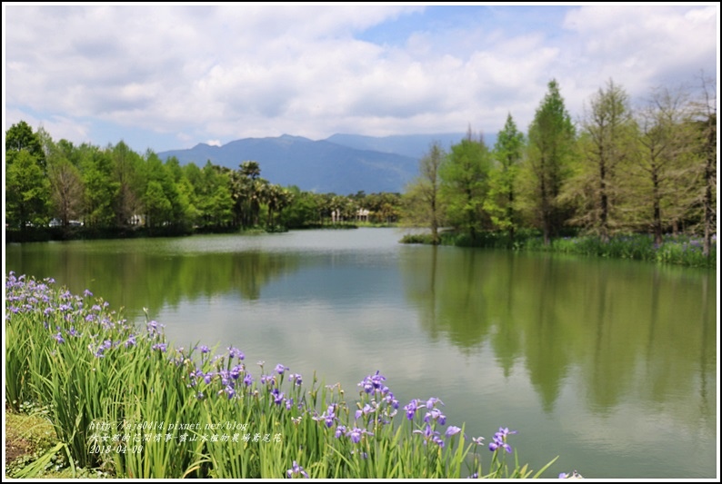 雲山水植物農場鳶尾花-2018-04-03.jpg