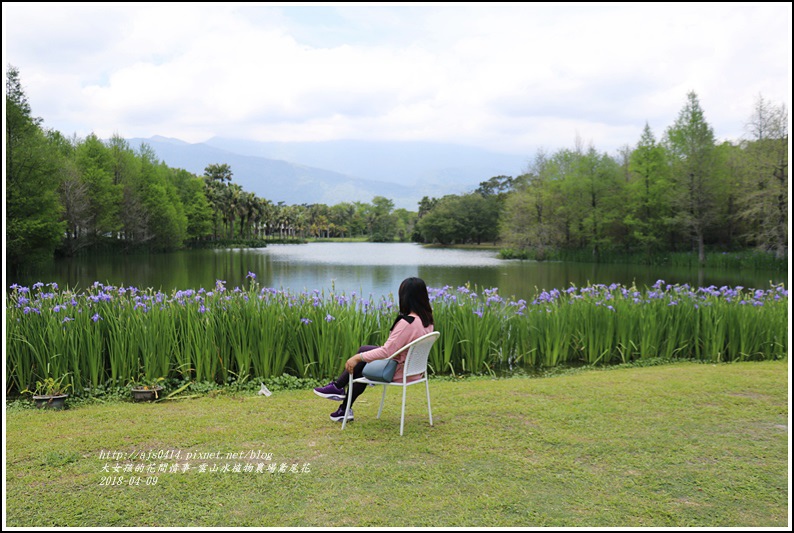 雲山水植物農場鳶尾花-2018-04-14.jpg