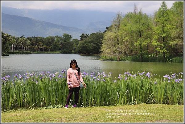 雲山水植物農場鳶尾花-2018-04-15.jpg