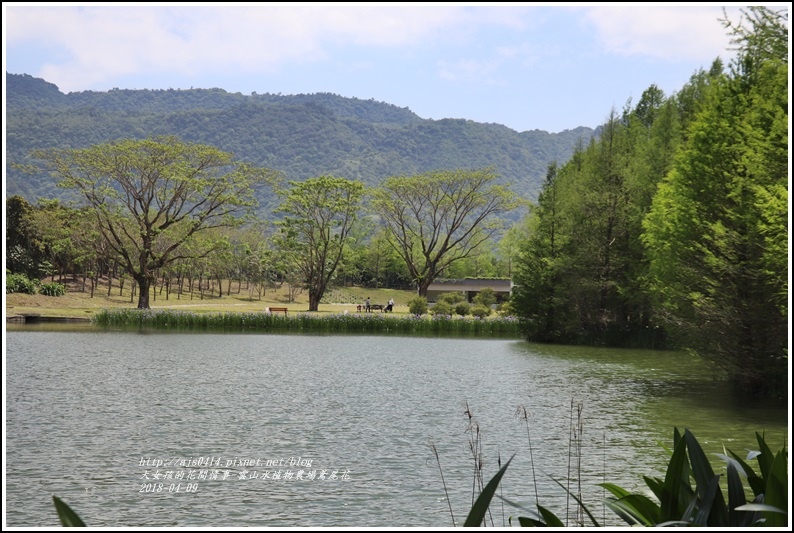 雲山水植物農場鳶尾花-2018-04-20.jpg