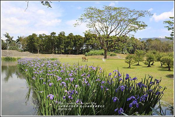 雲山水植物農場鳶尾花-2018-04-24.jpg