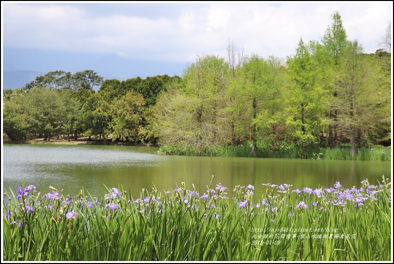 雲山水植物農場鳶尾花-2018-04-28.jpg