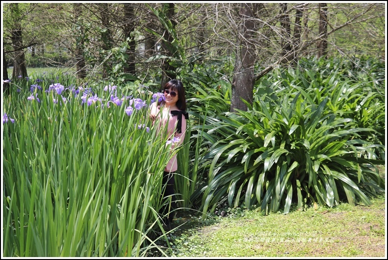 雲山水植物農場鳶尾花-2018-04-31.jpg