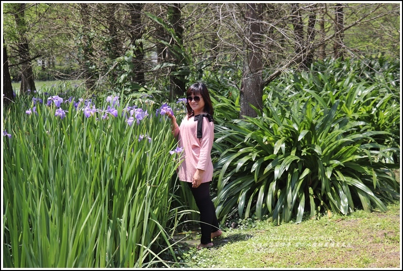 雲山水植物農場鳶尾花-2018-04-32.jpg