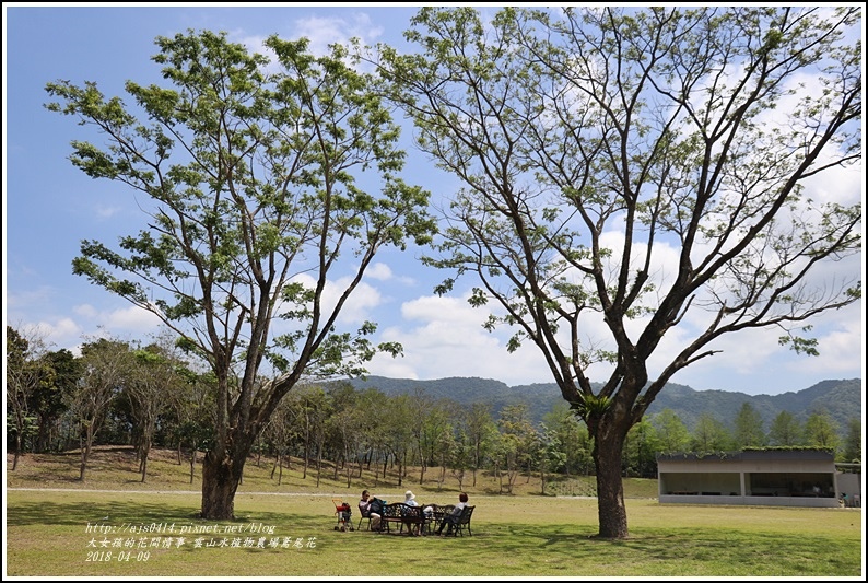 雲山水植物農場鳶尾花-2018-04-37.jpg