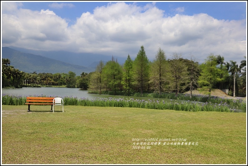 雲山水植物農場鳶尾花-2018-04-39.jpg